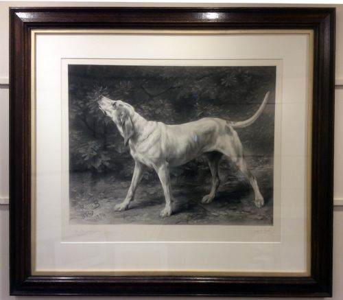 Rosa Bonheur. An Exceptional Engraving...a Limier Briquet Hound / Fox Hound. Rosa Bonheur.