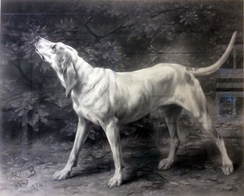 fig 1. Rosa Bonheur. An exceptional engraving...A Limier Briquet Hound / Fox Hound. Rosa Bonheur. 