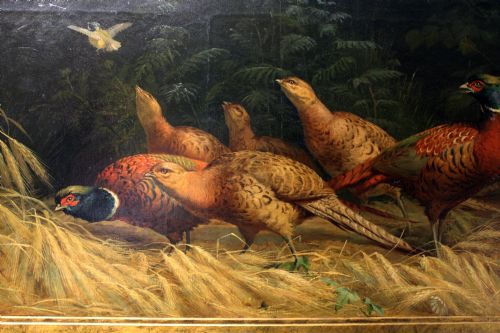 fig 1. A fine and unusual pair of oils on canvas..pheasants and partridge.