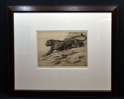 fig 1. An antique monochrome etching depicted on cream paper showing a leopard crouched on a rocky hillside, signed lower left by Herbert Dicksee.