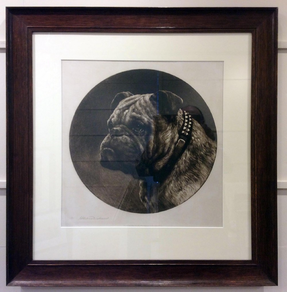 A British Bulldog. An original drypoint etching by Herbert Dicksee