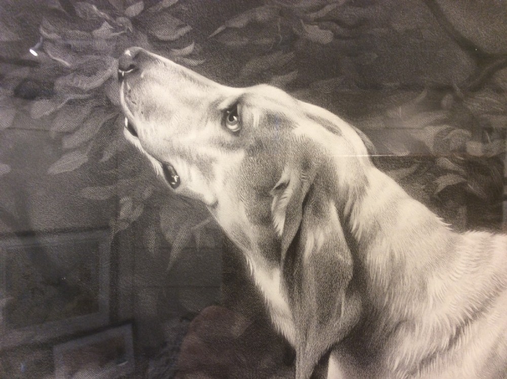 Rosa Bonheur. An exceptional engraving...A Limier Briquet Hound / Fox Hound. Rosa Bonheur.  View III