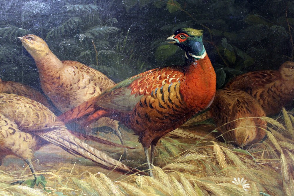 A fine and unusual pair of oils on canvas..pheasants and partridge.  View III