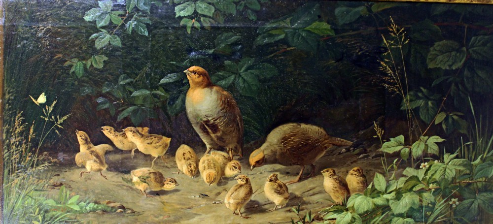 A fine and unusual pair of oils on canvas..pheasants and partridge.  View VI