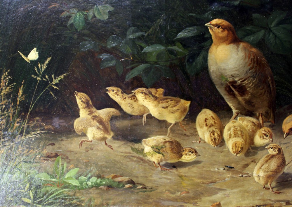 A fine and unusual pair of oils on canvas..pheasants and partridge.  View VII