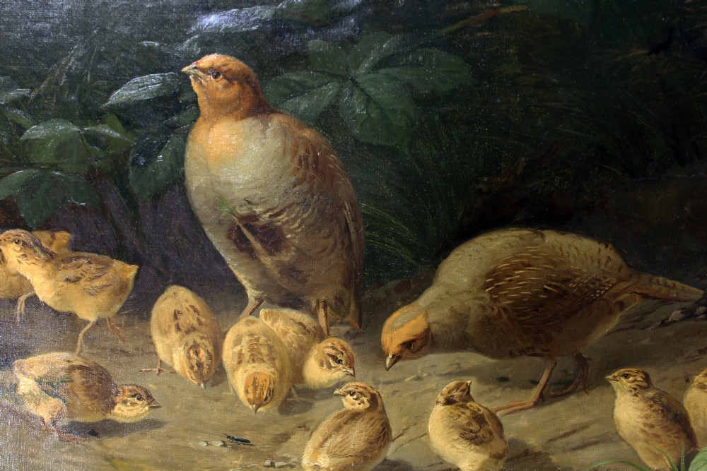 A fine and unusual pair of oils on canvas..pheasants and partridge.  View VIII