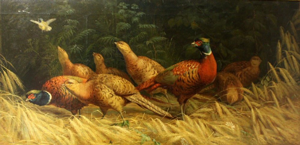 A fine and unusual pair of oils on canvas..pheasants and partridge.  View XI