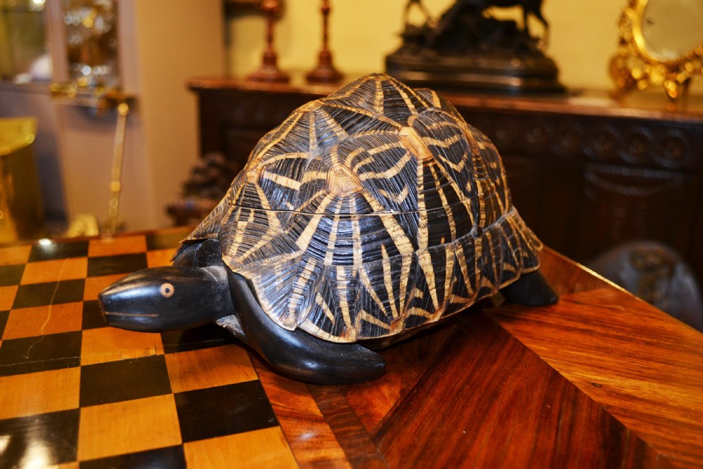 A carved dark wood and horn trinket box crafted in the form of an Indian Star Tortoise with a patterned carapace lid.