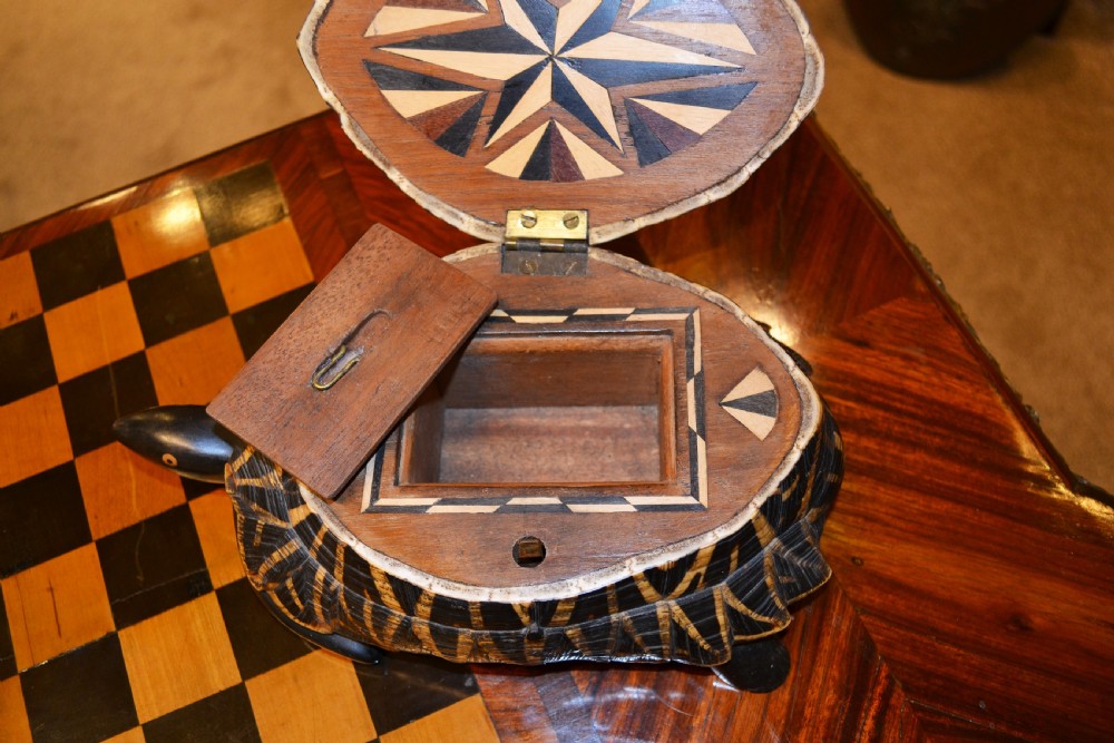 A carved dark wood and horn trinket box crafted in the form of an Indian Star Tortoise with a patterned carapace lid. View III