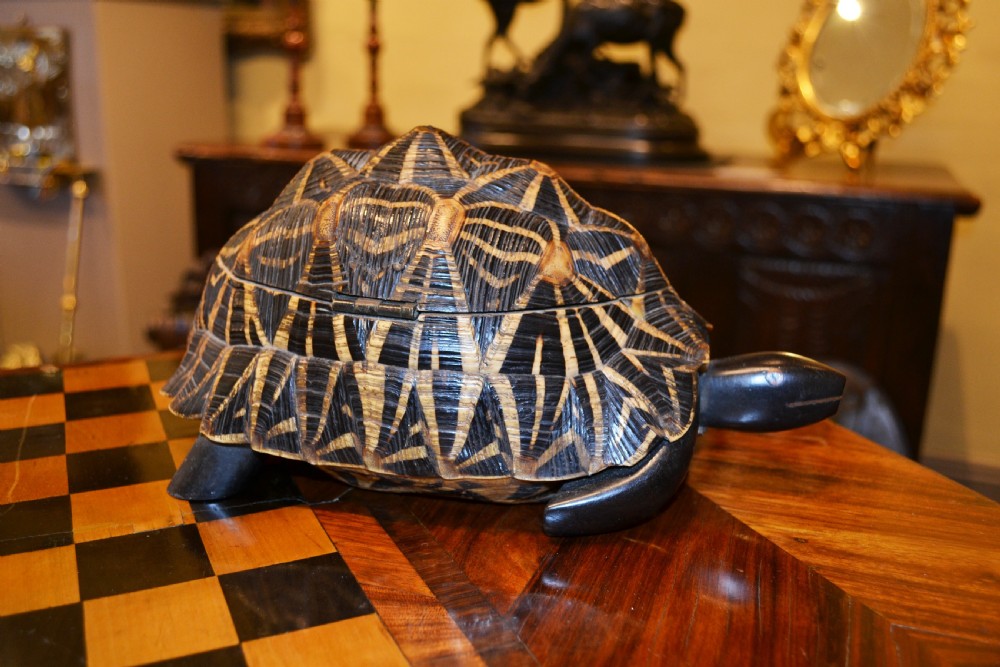 A carved dark wood and horn trinket box crafted in the form of an Indian Star Tortoise with a patterned carapace lid. View IV