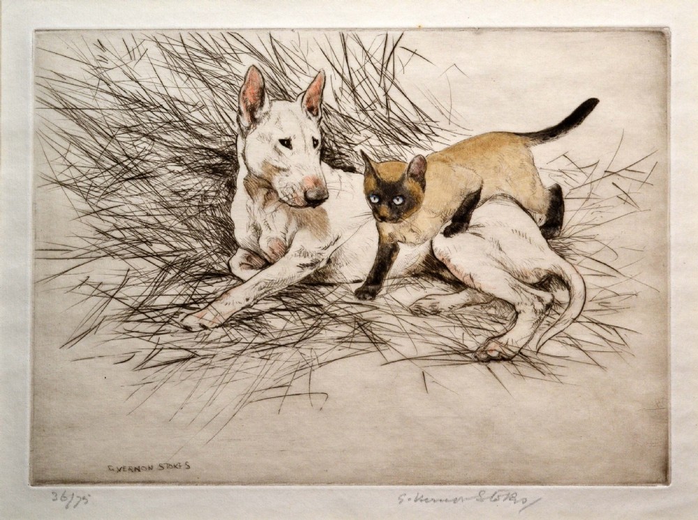 English Bull Terrier, original etching