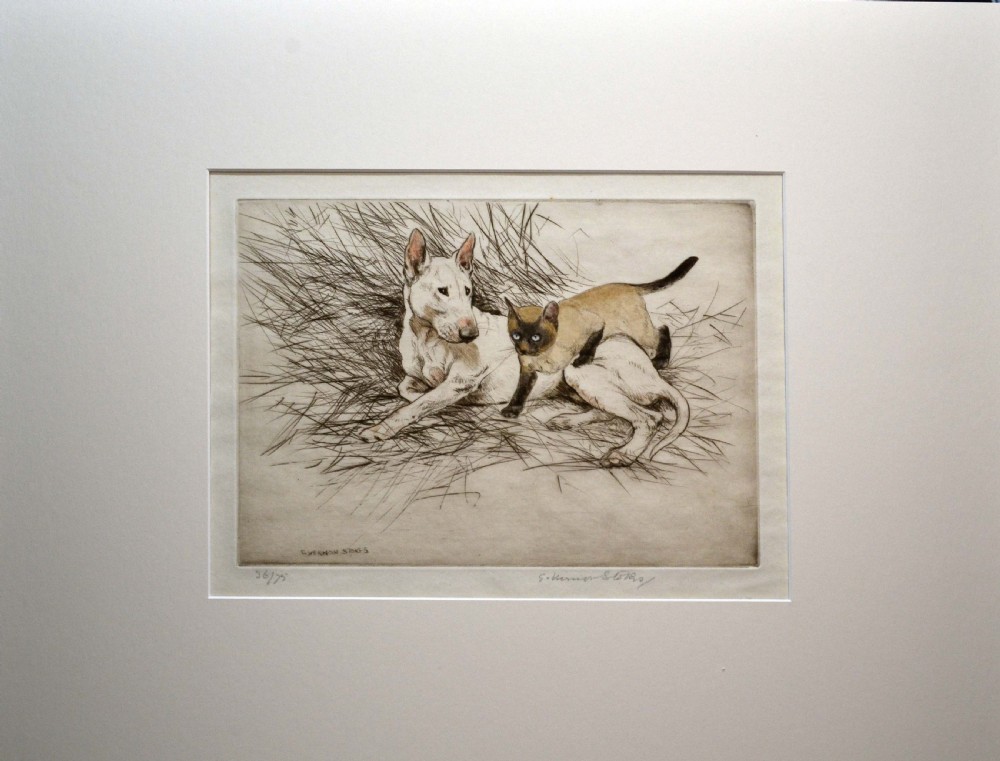 English Bull Terrier, original etching View II