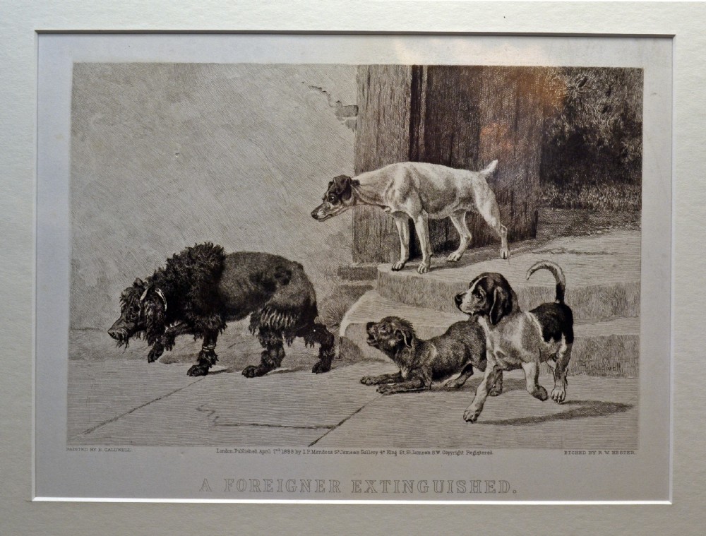 Pair of 19th century etchings. Poodle and Jack Russell View II