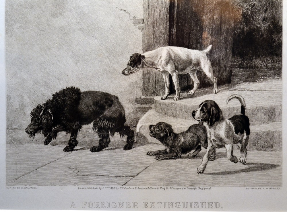Pair of 19th century etchings. Poodle and Jack Russell View IV