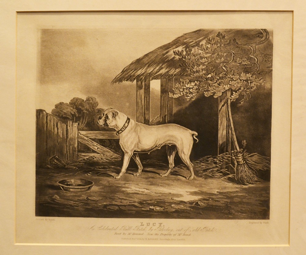 A nineteenth-century sepia engraving depicting a bulldog standing in profile within a rustic farmyard.