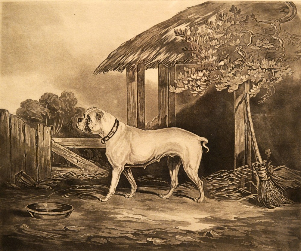 A nineteenth-century sepia engraving depicting a bulldog standing in profile within a rustic farmyard. View II