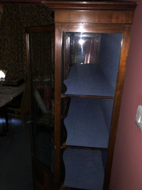 LATE VICTORIAN MAHOGANY GLAZED DISPLAY CABINET - ADDITIONAL PHOTO 1