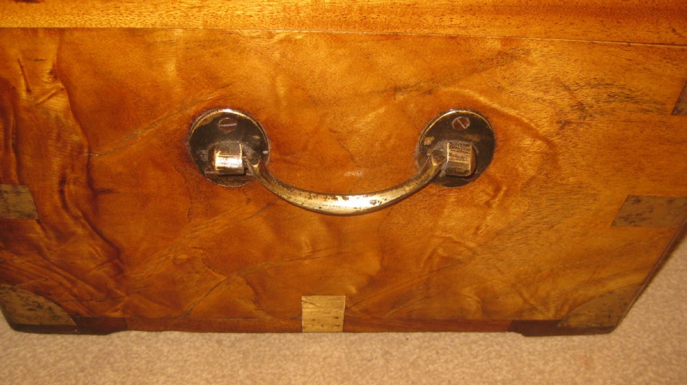 A rectangular Victorian solid camphorwood campaign trunk featuring polished brass corner mounts and central escutcheon. View XII