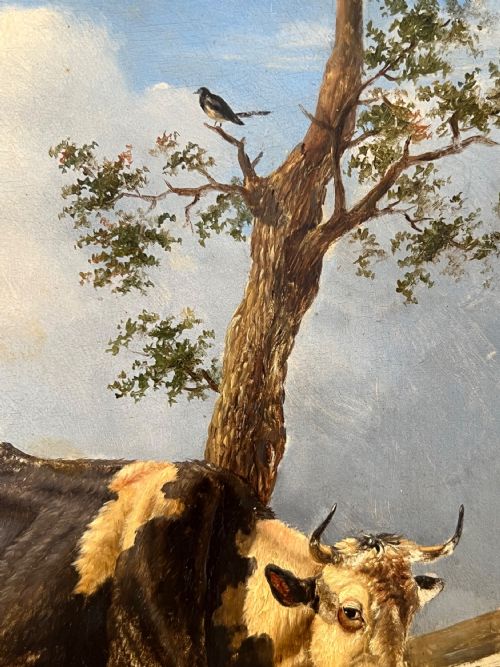 LATE 18TH CENTURY FLEMISH SCHOOL OIL ON PANEL STUDY OF TWO COWS AND SHEP AT REST CIRCLE OF JOSEPH VERBOECKHOVEN - ADDITIONAL PHOTO 7