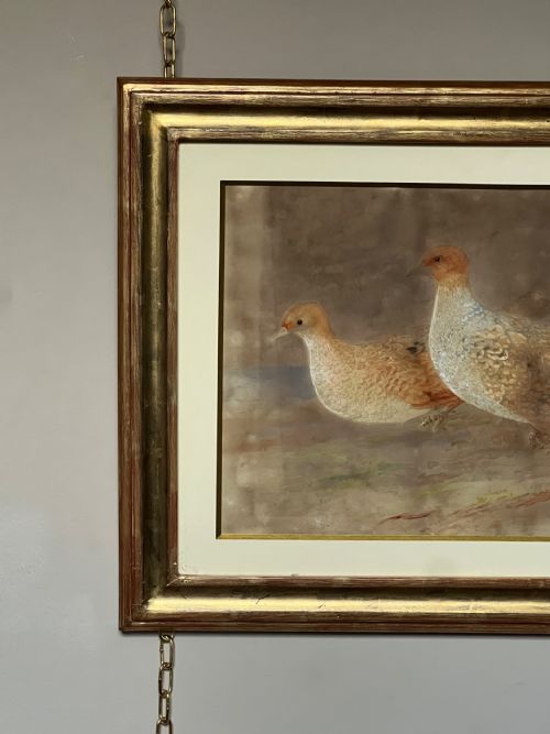 FINE 19TH CENTURY WATERCOLOUR STUDY OF A PAIR OF GREY PARTRIDGES - ADDITIONAL PHOTO 8
