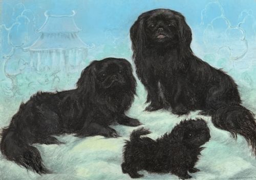 fig 1. A framed pastel drawing depicting three black Pekingese dogs against a pale blue background with faint architectural pagoda outlines.