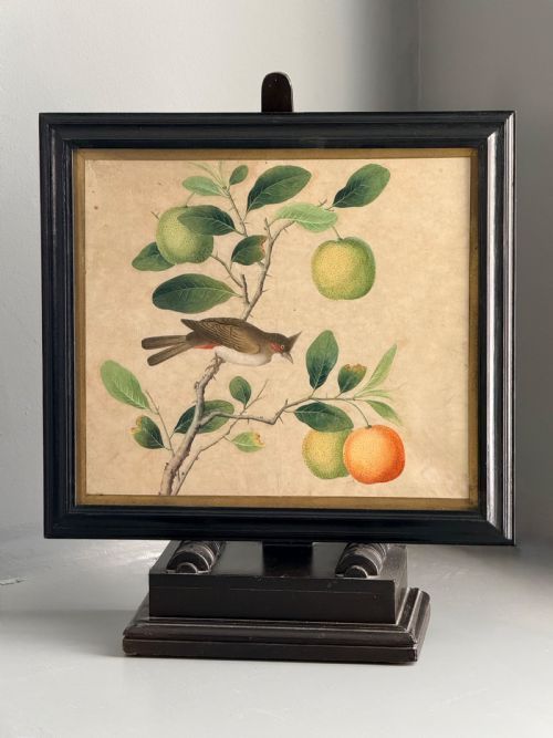 Large and Exquisite 18th Century Gouache Painting on Pith Paper.