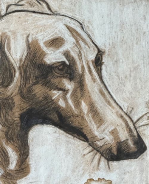 fig 1. A detailed profile study of a Borzoi dog executed in pencil and white gouache highlights on buff paper.