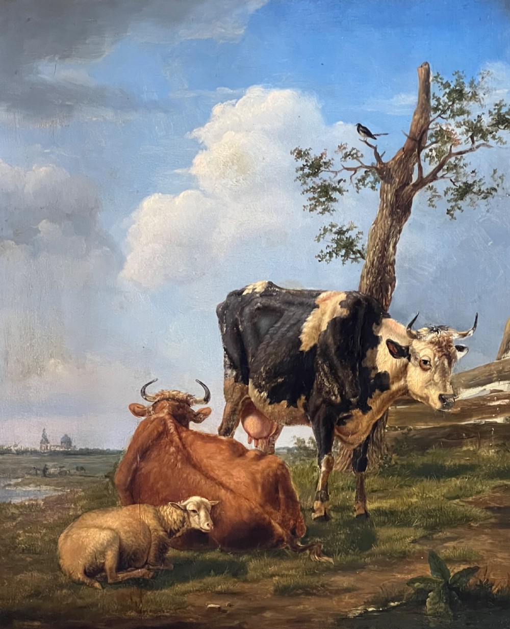 LATE 18TH CENTURY FLEMISH SCHOOL OIL ON PANEL STUDY OF TWO COWS AND SHEP AT REST - CIRCLE OF JOSEPH VERBOECKHOVEN
