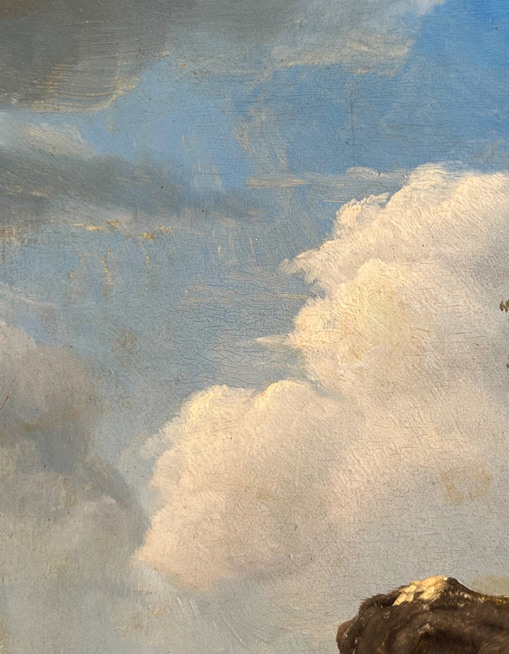 LATE 18TH CENTURY FLEMISH SCHOOL OIL ON PANEL STUDY OF TWO COWS AND SHEP AT REST - CIRCLE OF JOSEPH VERBOECKHOVEN View IV