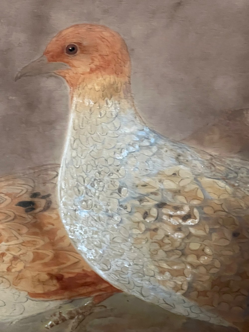 FINE 19TH CENTURY WATERCOLOUR STUDY OF A PAIR OF GREY PARTRIDGES. View VI