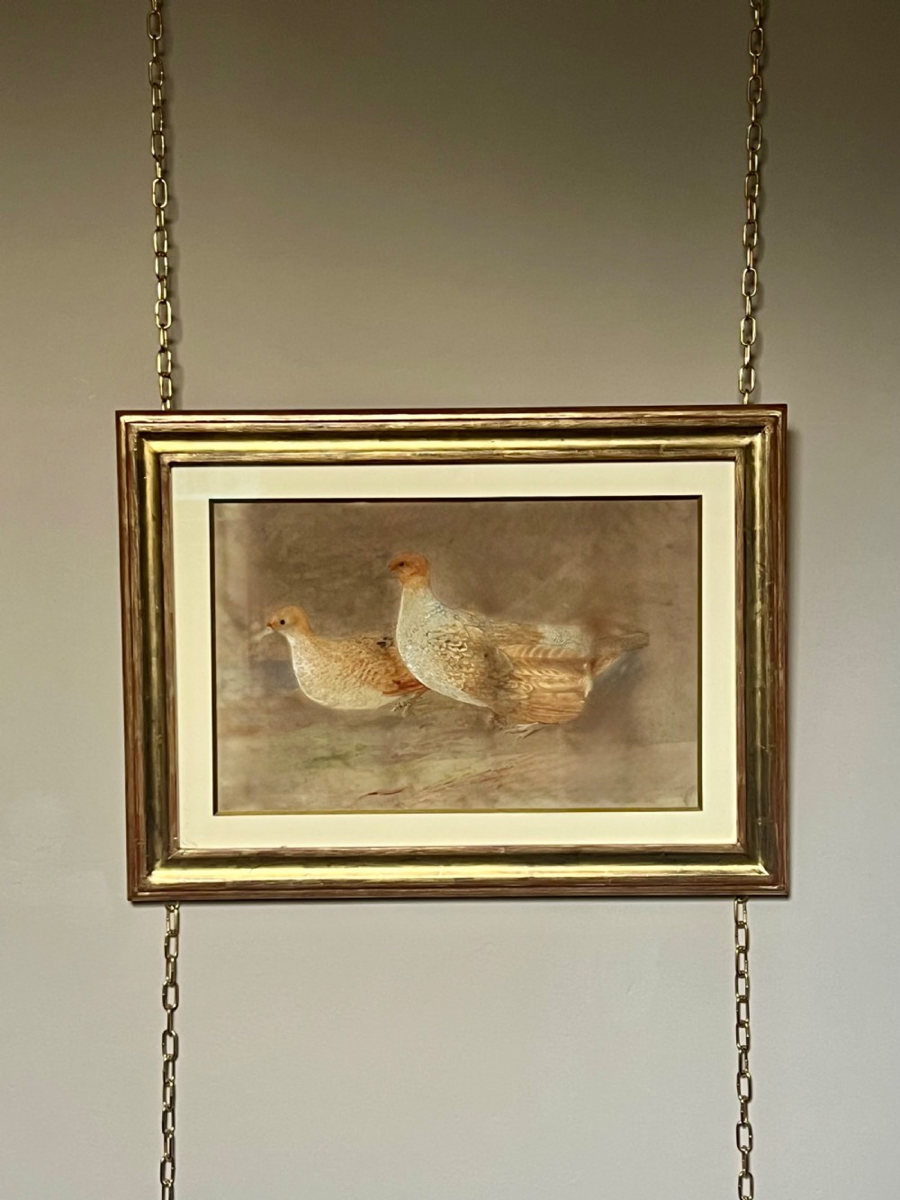 FINE 19TH CENTURY WATERCOLOUR STUDY OF A PAIR OF GREY PARTRIDGES. View VIII