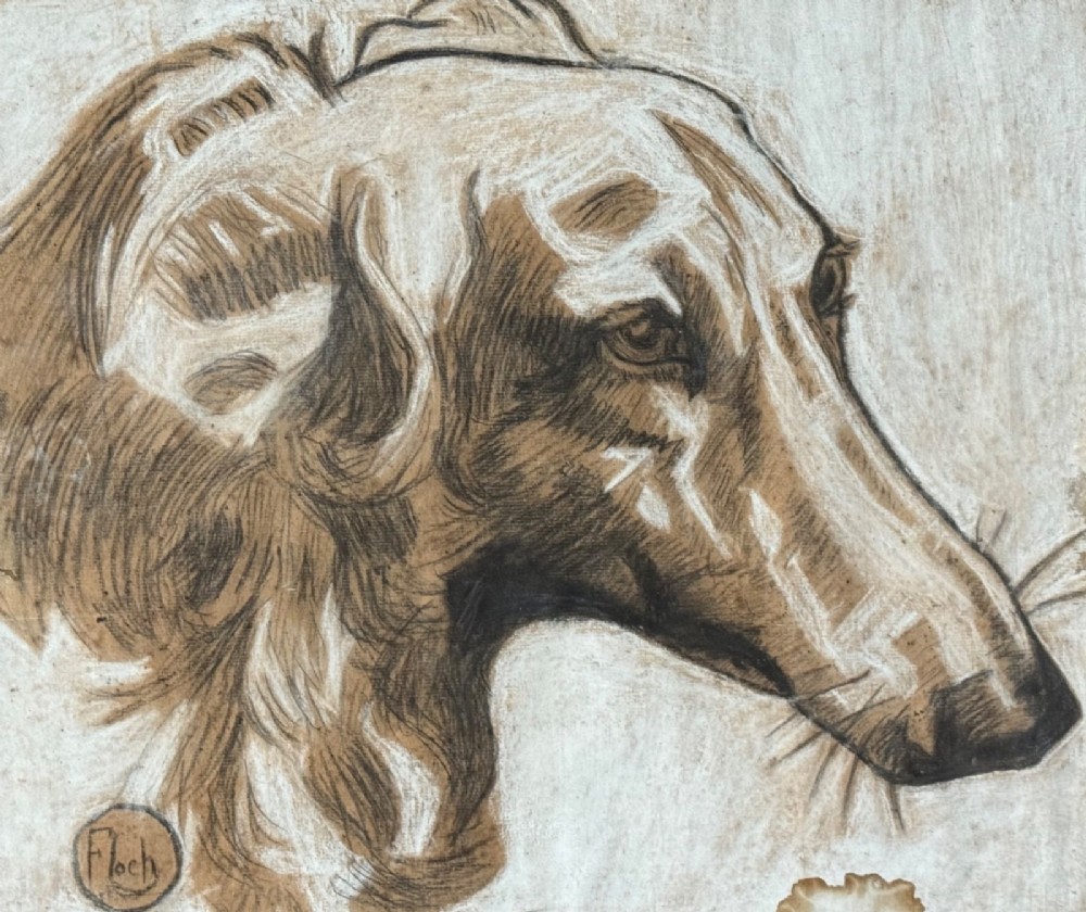 A detailed profile study of a Borzoi dog executed in pencil and white gouache highlights on buff paper.