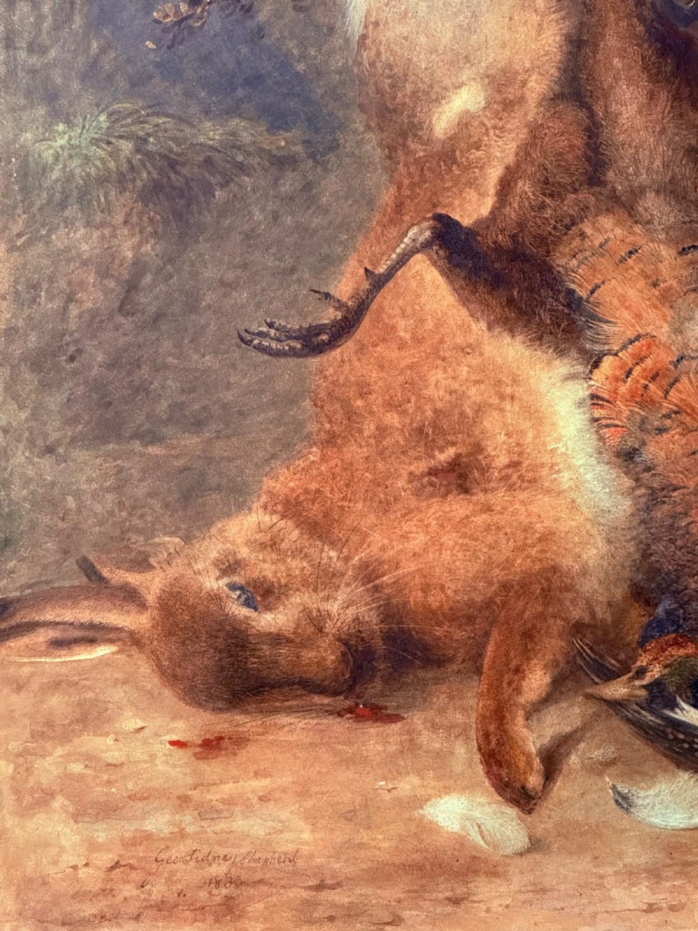 A nineteenth-century watercolour and bodycolour painting depicting a game still life with a hare, pheasant, lapwing, and a shotgun. View V