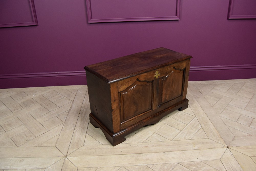 An early eighteenth-century dark oak Welsh coffer bach featuring two fielded arch panels, a brass escutcheon, and a shaped apron. View VIII