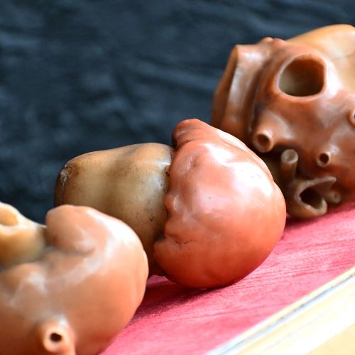 fig 1. 19th Century medical human heart forms
