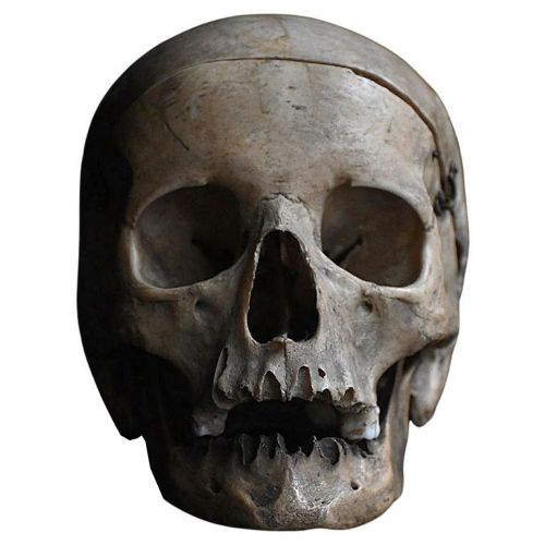 19th Century Human Medical Natural History Example