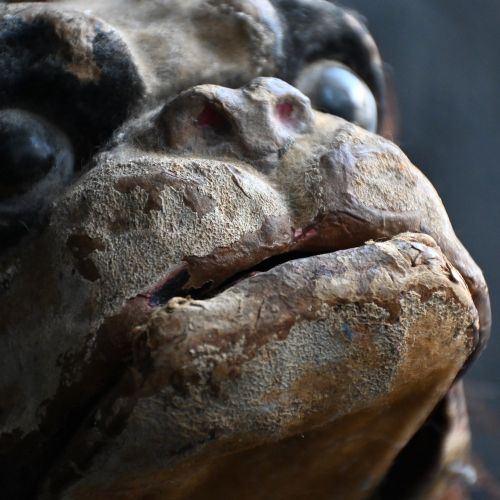 fig 3. A nineteenth-century papier-mache French bulldog automaton toy with glass eyes, a fur collar, and small wheels under its paws.