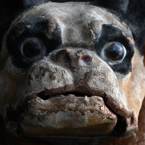 fig 4. A nineteenth-century papier-mache French bulldog automaton toy with glass eyes, a fur collar, and small wheels under its paws.