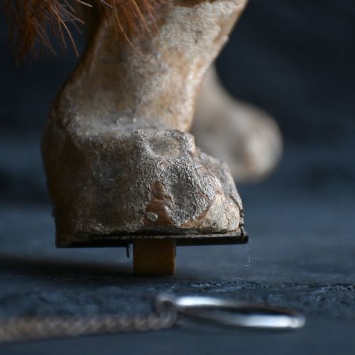 fig 5. A nineteenth-century papier-mache French bulldog automaton toy with glass eyes, a fur collar, and small wheels under its paws.