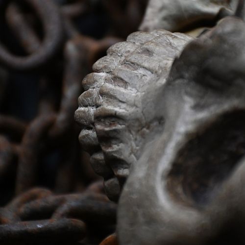 fig 3. A hand-carved wooden skull sculpture displaying carved teeth and eye sockets with an aged brown patina.