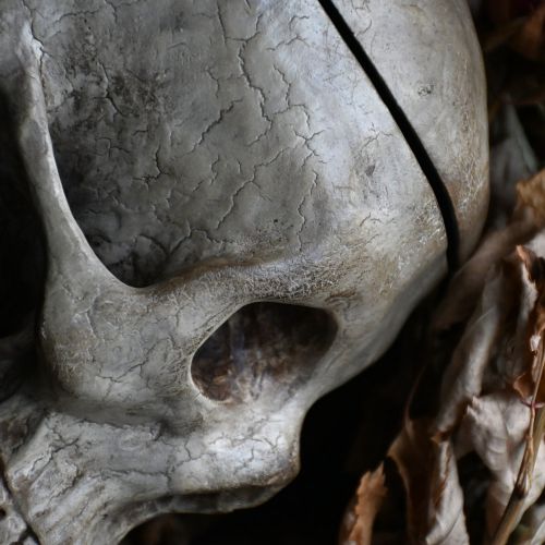 fig 4. A hand-carved wooden skull sculpture displaying carved teeth and eye sockets with an aged brown patina.