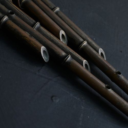 fig 6. A pair of early 20th century patinated metal wall sconces formed in the shape of bamboo stalks with three sweeping curved branches holding candle sockets.