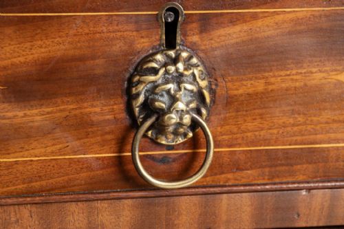 REGENCY MAHOGANY OAK LINED CHEST OF DRAWERS WITH BRASS LION HEAD HANDLES C1820 - ADDITIONAL PHOTO 3