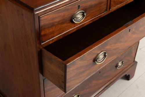 SMALL GEORGIAN MAHOGANY CHEST OF DRAWERS WITH OVAL BRASS PLATE HANDLES C1800 - ADDITIONAL PHOTO 3