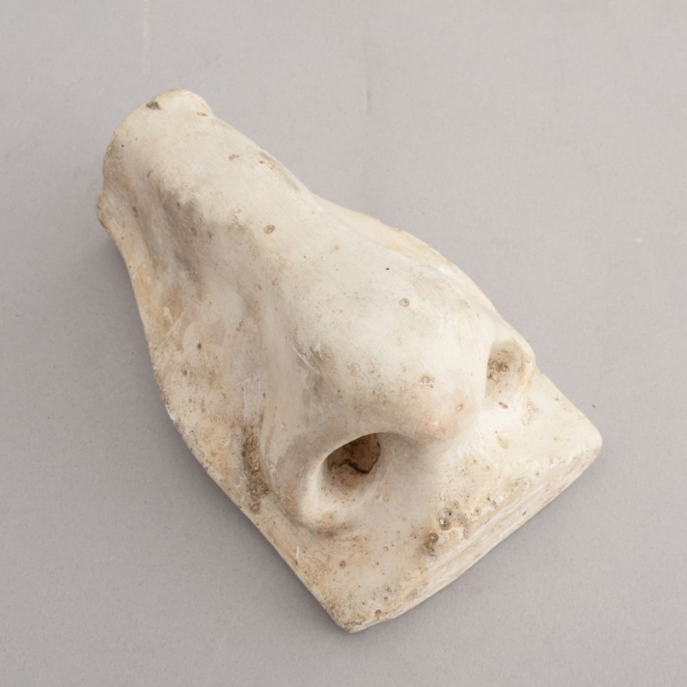 Three 19th-century aged off-white plaster casts displaying sculpted anatomical features including eyes and a nose after Michelangelos David. View V