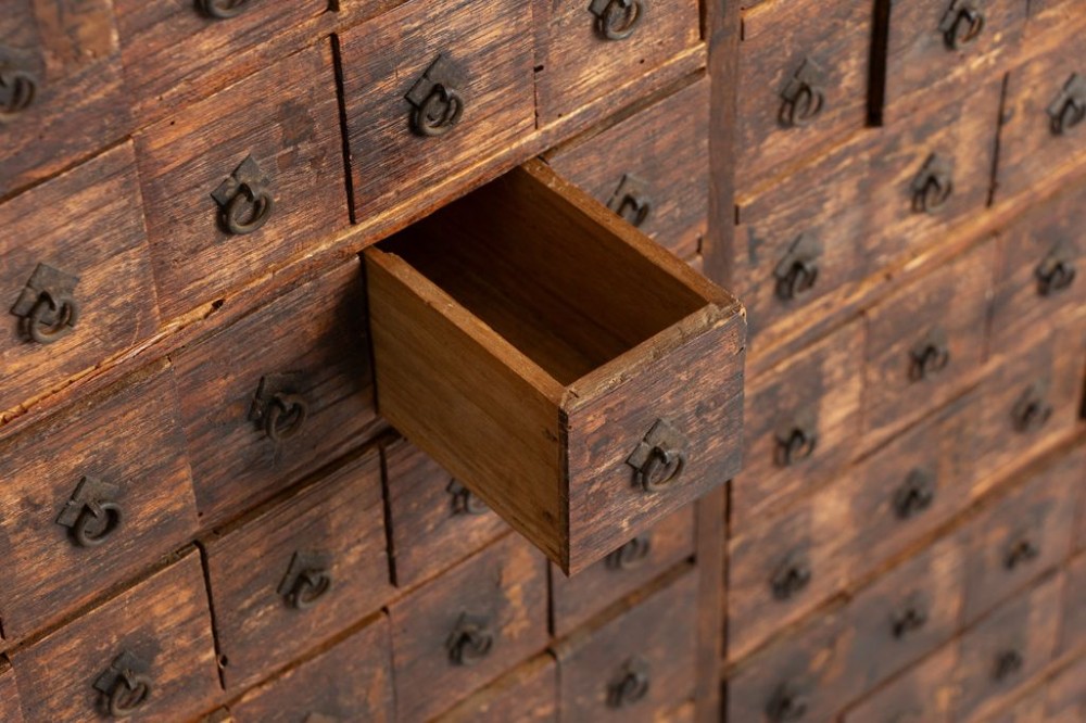 A tall dark timber Japanese apothecary cabinet featuring multiple small rectangular drawers with iron ring pulls above two wider base drawers. View III