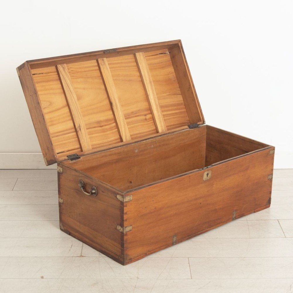 19th Century Camphor Wood Blanket Box View III