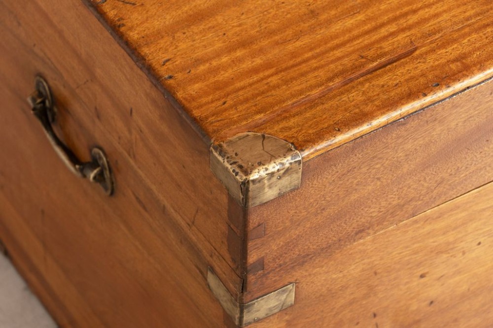 19th Century Camphor Wood Blanket Box View IV