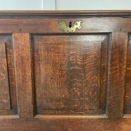 18TH C OAK MULE CHEST - ADDITIONAL PHOTO 6