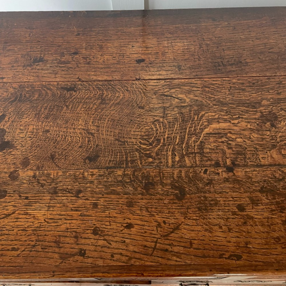 18th C. Oak Mule Chest View V